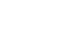 Zehavi Works LLC
